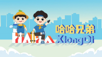 IP 运营