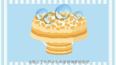 把故事做成动画