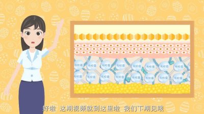 MG动画的发展